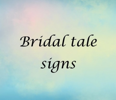 Bridal table signs