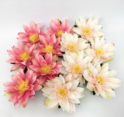Floating Lotus flowers $3.30 each