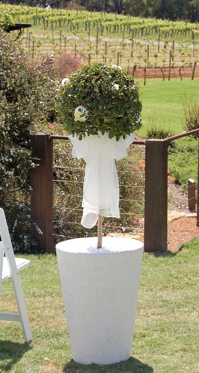 Living Topiary $55.00 each