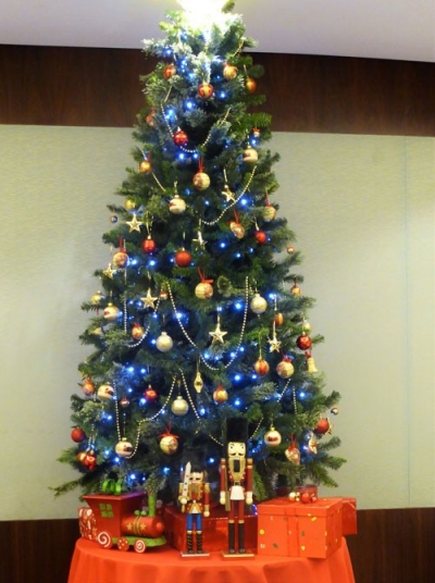 Cristmas trees