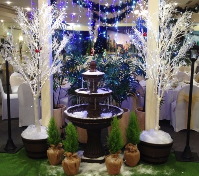 Christmas decor POA