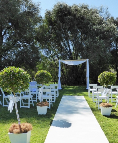 Living Topiary $55.00 each