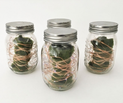 Fairy light jars
