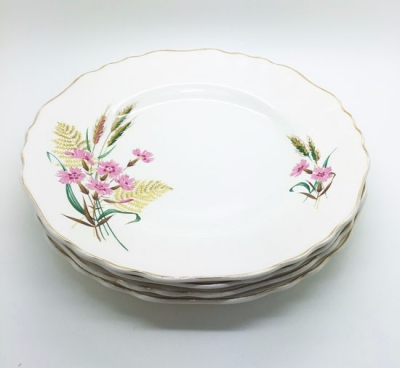 Vintage dinner plate set $2.50 per plate
