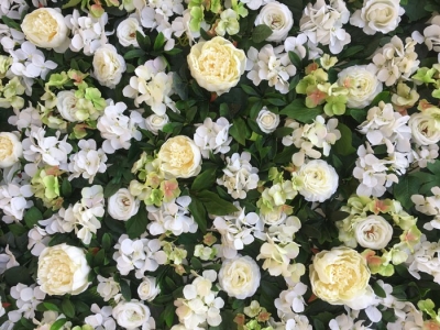 Flower wall
