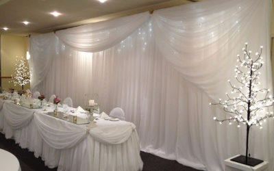 Backdrop with Icicle lighting