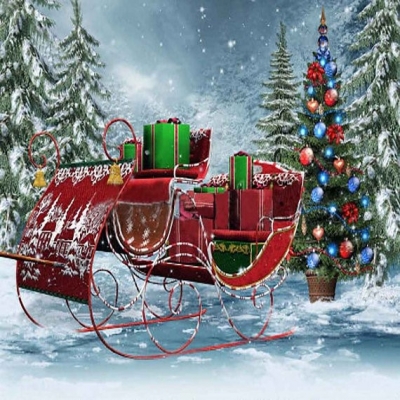 Sleigh with gifts 3mx3m $132.00 installed