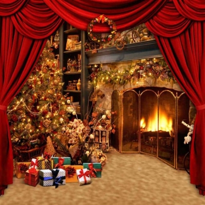 Stove & Xmas Tree 3mx3m $132.00 installed