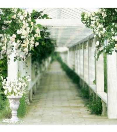 White Gallery Building 3mx3m $132.00 Installed
