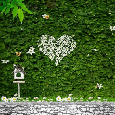 White heart and hedge 3mx3m $132.00 installed